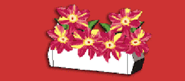 Small Flower Box